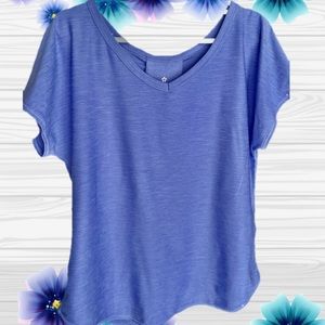 Periwinkle V Neck Top